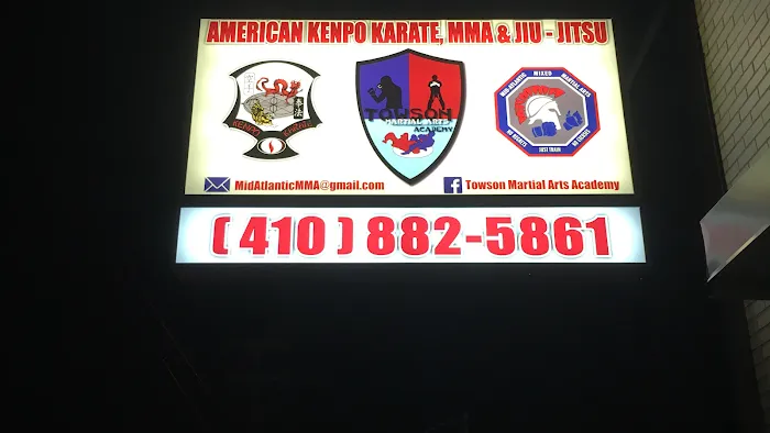 Towson Martial Arts Academy Picture 2