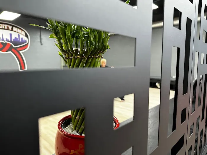 Charm City Mixed Martial Arts Picture 8