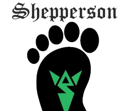 Shepperson Tae Kwon Do