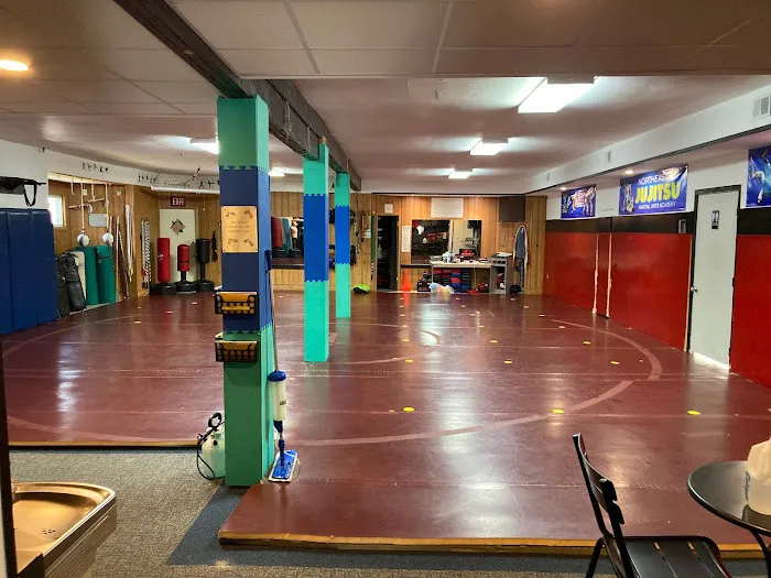 Northeastern Ju Jitsu Picture 3