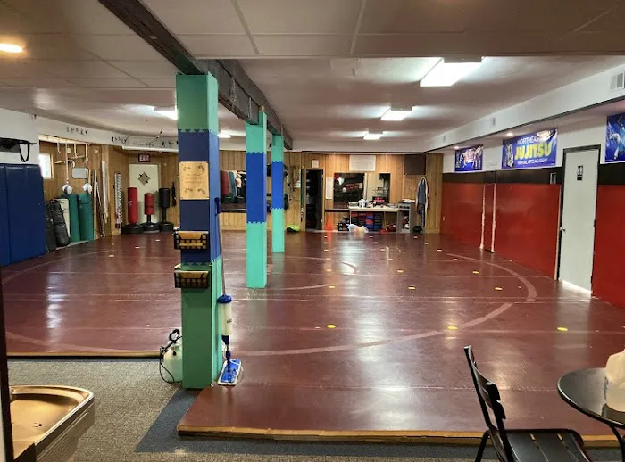 Northeastern Ju Jitsu Picture 2