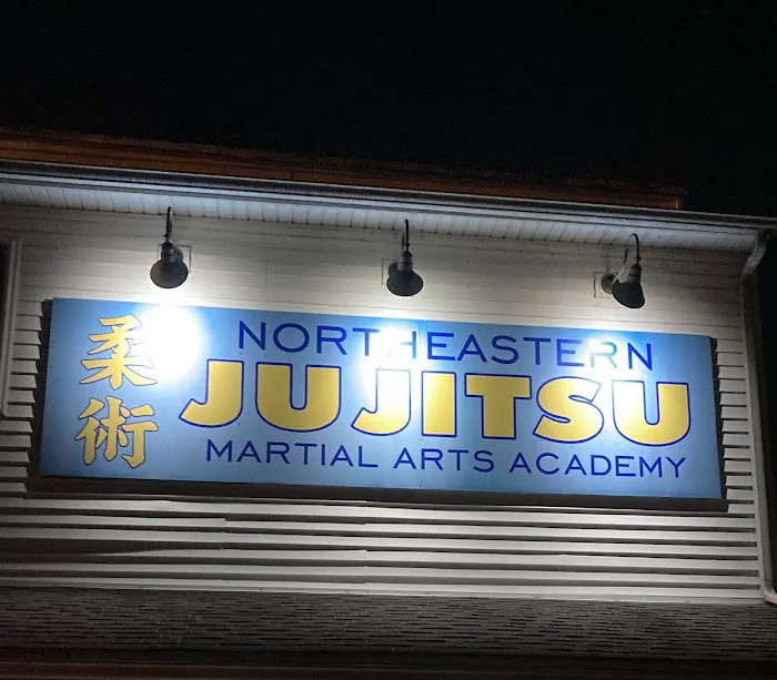 Northeastern Ju Jitsu Picture 9