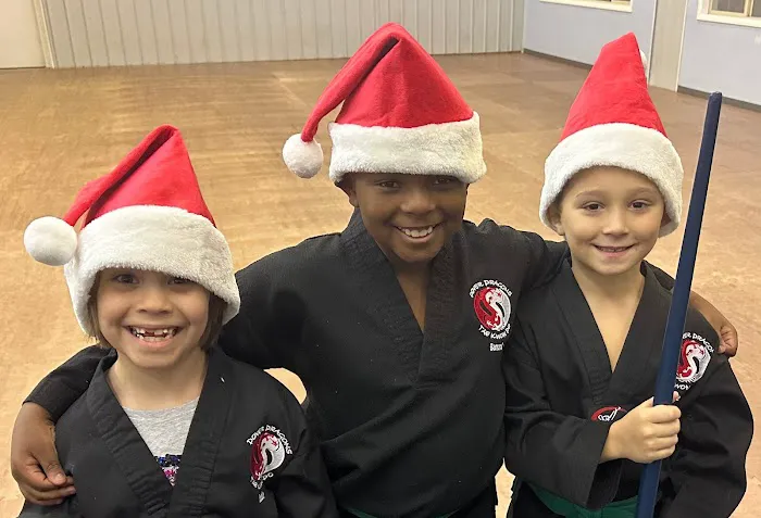 Dover Dragons Tae Kwon Do Picture 5