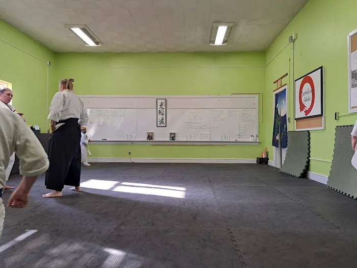 Harrisburg Aikido Picture 2