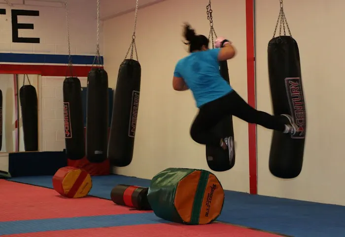 Korean Integrated Martial Arts (KIMADO) Picture 2