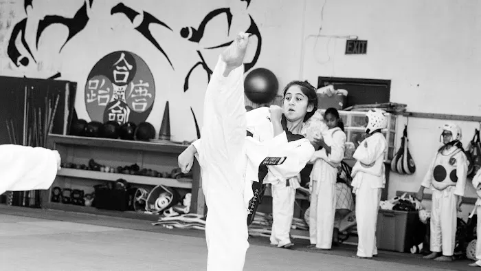 Korean Integrated Martial Arts (KIMADO) Picture 6