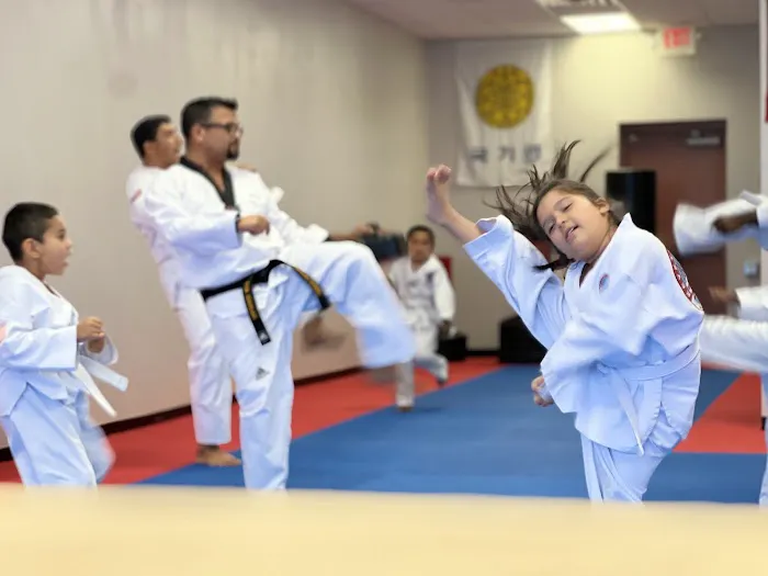 Keystone Taekwondo Academy Picture 4