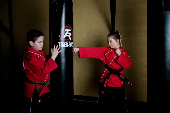 Tiger Rock Martial Arts of Camp Hill Picture 3