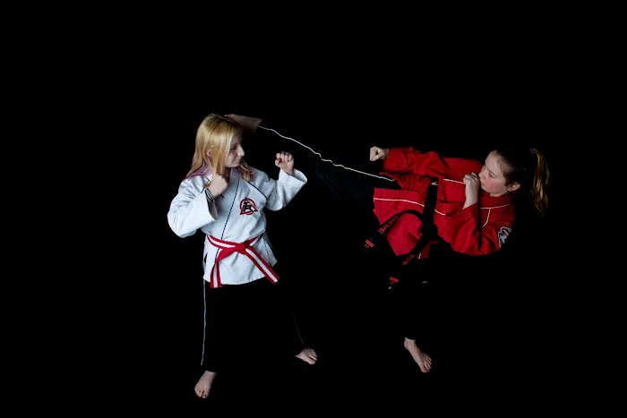 Tiger Rock Martial Arts of Camp Hill Picture 4