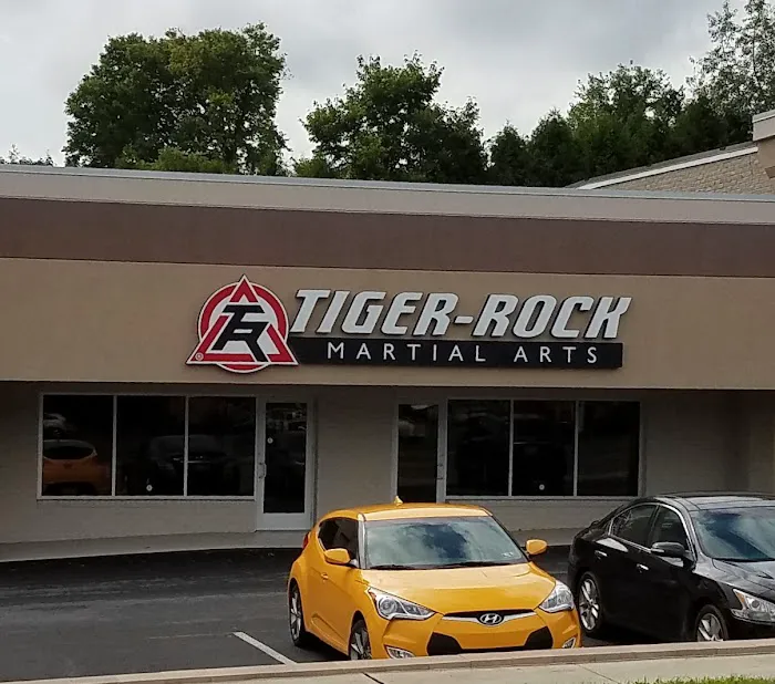 Tiger Rock Martial Arts of Camp Hill Picture 8