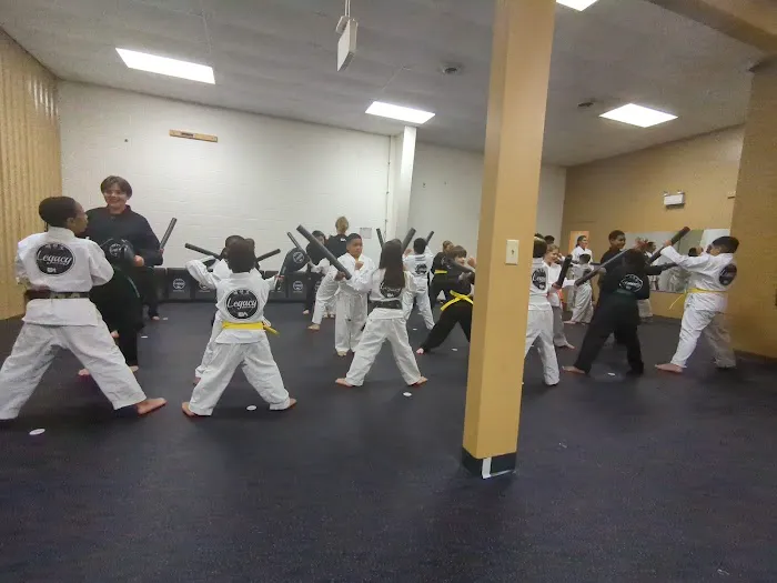 Legacy Martial Arts Camp Hill Picture 2