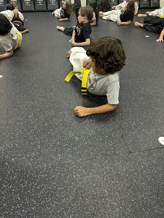 Legacy Martial Arts Camp Hill Picture 4