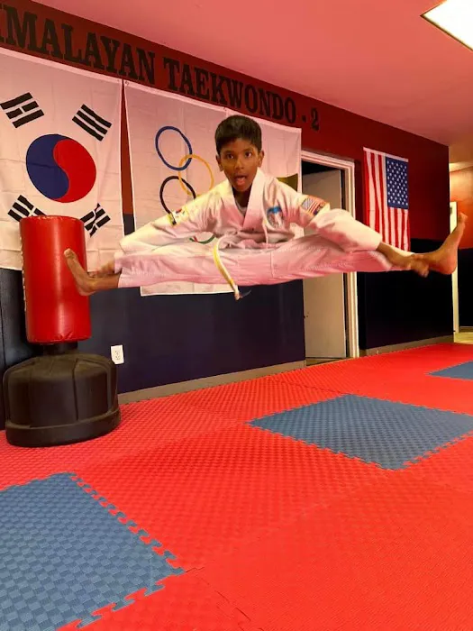 Hingmang Taekwondo Academy Picture 3