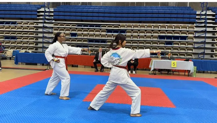 Hingmang Taekwondo Academy Picture 5