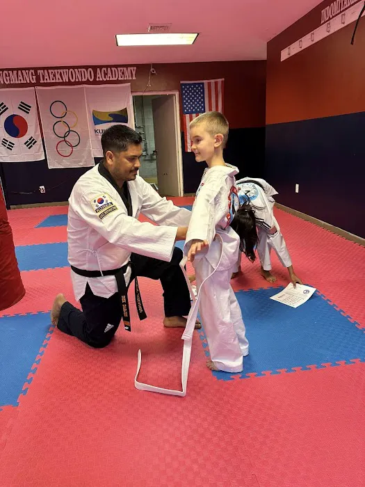 Hingmang Taekwondo Academy Picture 7