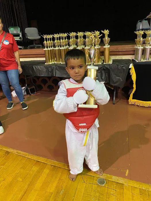 Hingmang Taekwondo Academy Picture 9