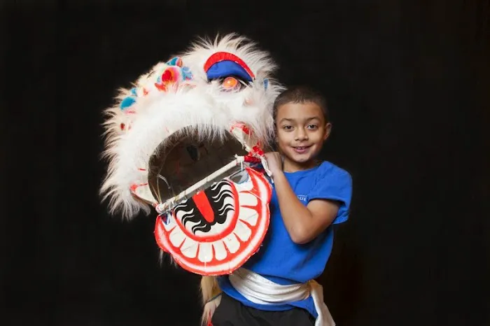 Tiger's Kung Fu Academy Picture 2