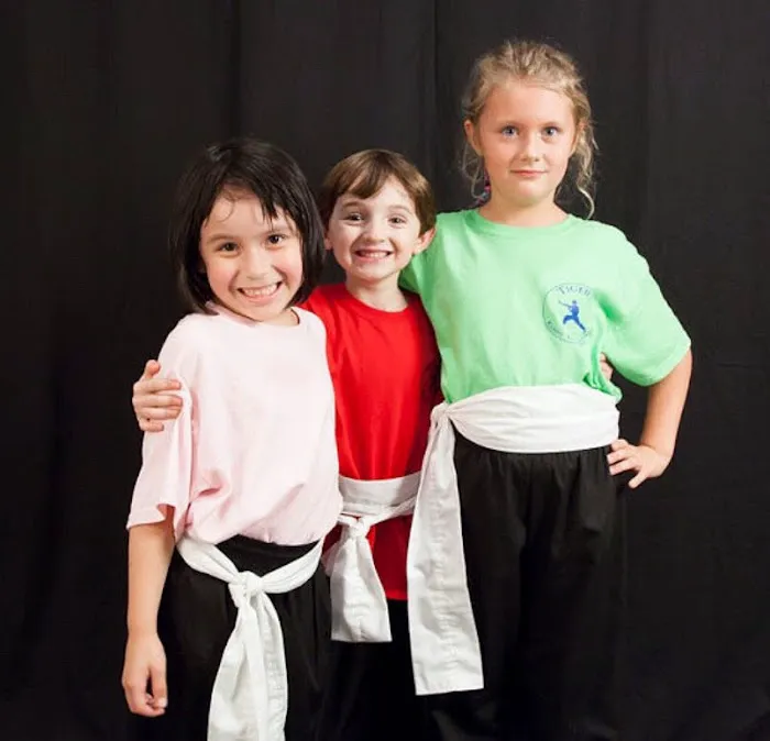 Tiger's Kung Fu Academy Picture 8