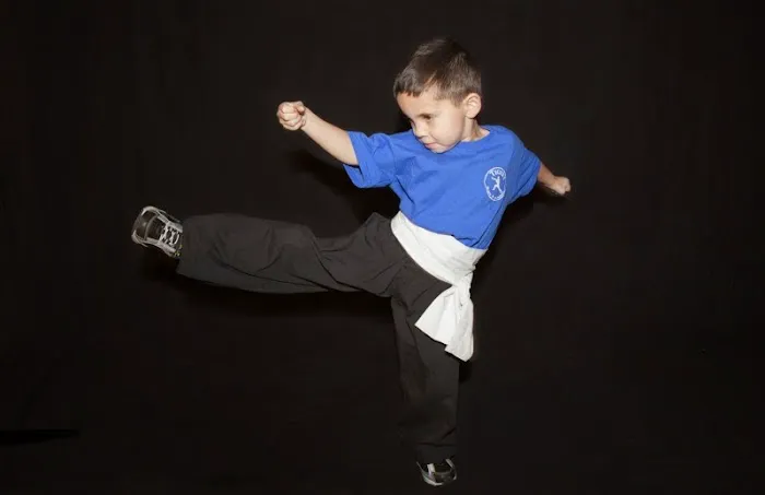 Tiger's Kung Fu Academy Picture 9