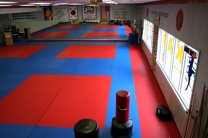 Kim's Karate Picture 5