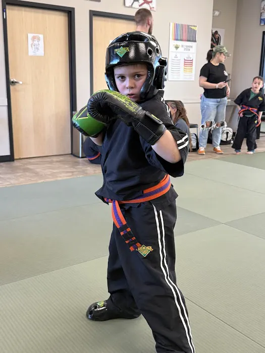 Premier Martial Arts Mechanicsburg Picture 1