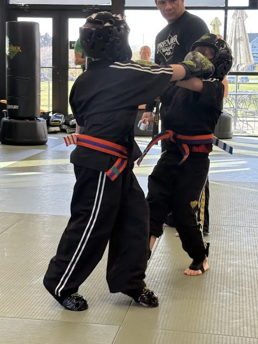 Premier Martial Arts Mechanicsburg Picture 9