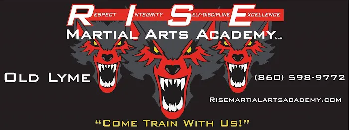 RISE Martial Arts Academy LLC Picture 1