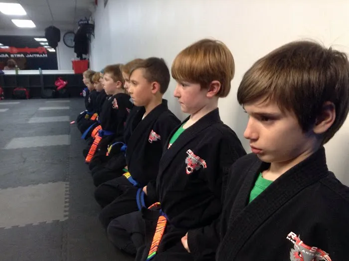 RISE Martial Arts Academy LLC Picture 6