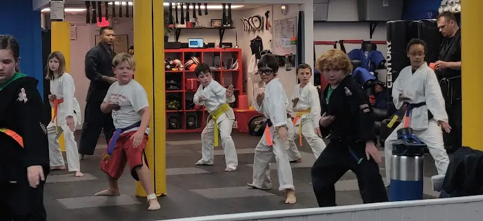 RISE Martial Arts Academy LLC Picture 4