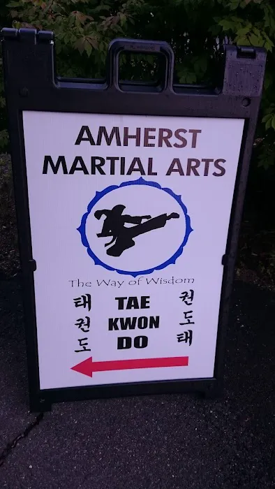 Amherst Martial Arts Picture 5