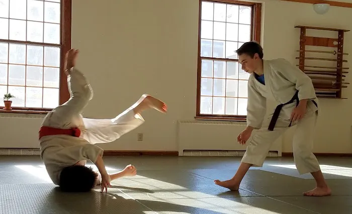 Valley Aikido Picture 2