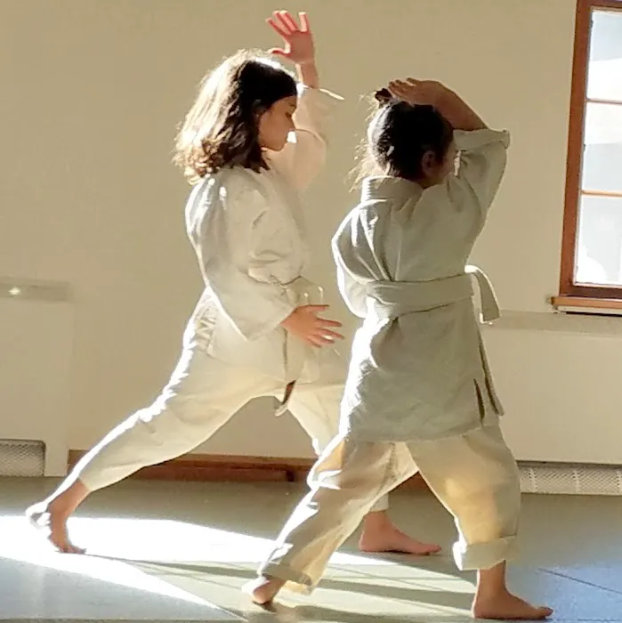 Valley Aikido Picture 9