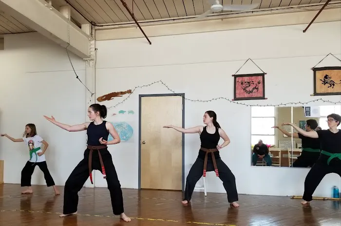 Valley Women's Martial Arts Picture 1