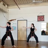 Valley Women's Martial Arts ico