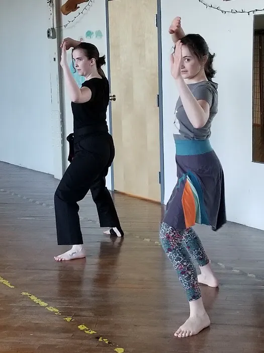 Valley Women's Martial Arts Picture 5