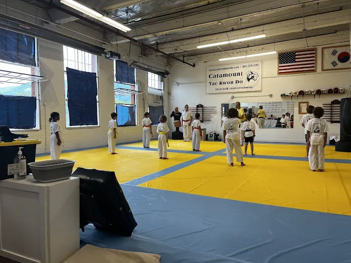 Catamount Tae Kwon Do Picture 3