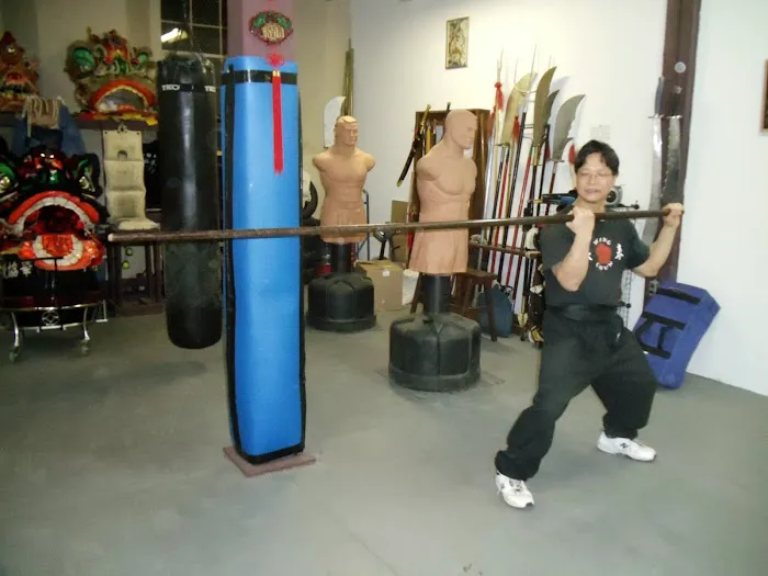 Ling's Wing Chun Kung Fu Academy Picture 1