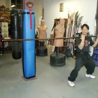 Ling's Wing Chun Kung Fu Academy ico