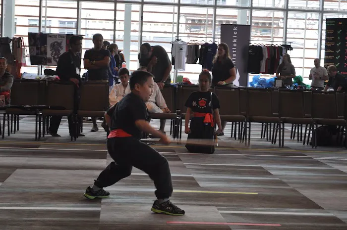 Ling's Wing Chun Kung Fu Academy Picture 9