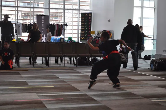 Ling's Wing Chun Kung Fu Academy Picture 8