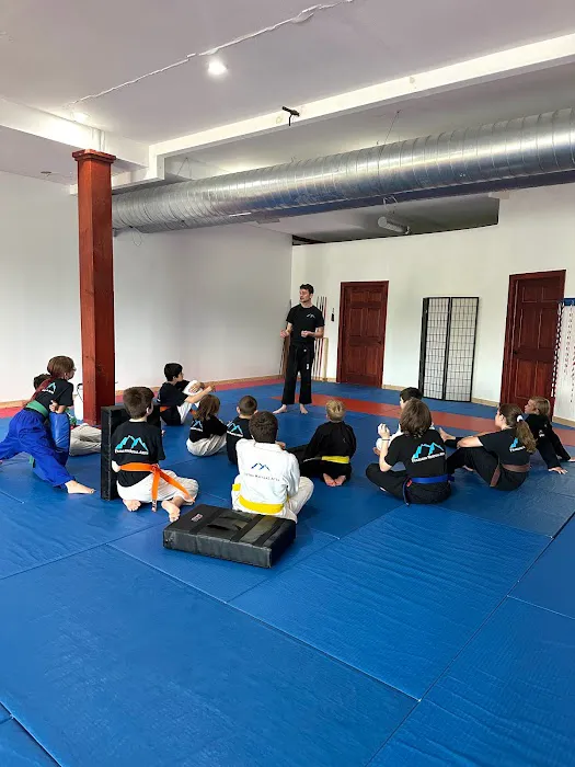 Fearless Martial Arts Picture 1