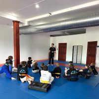 Fearless Martial Arts ico