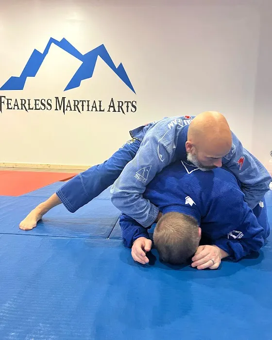 Fearless Martial Arts Picture 3