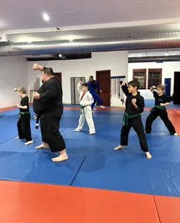 Fearless Martial Arts Picture 6