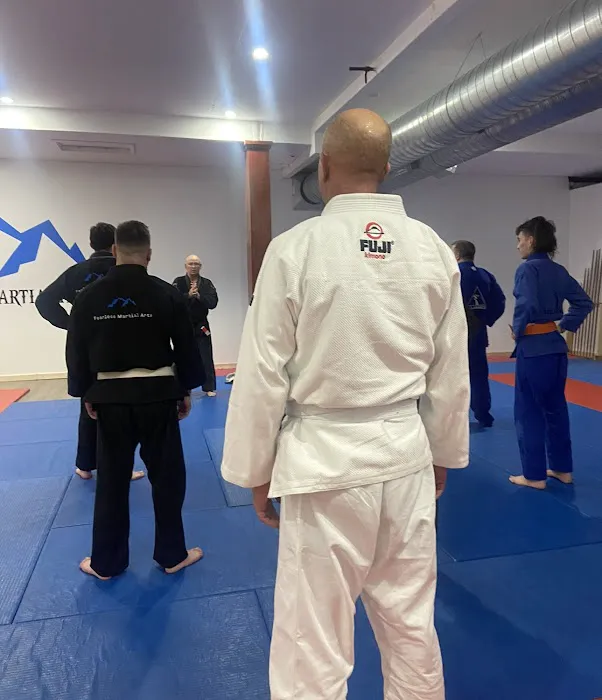 Fearless Martial Arts Picture 4