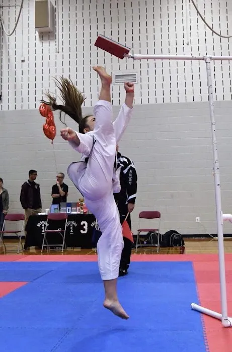 Baltimore Taekwon-Do Picture 8