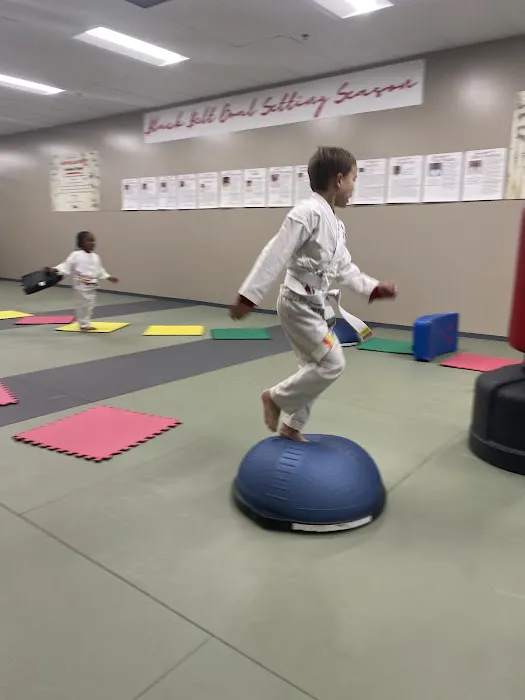 Shihan Marc's Karate Academy Picture 6