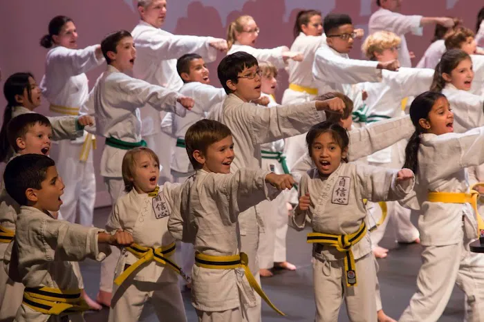 Shihan Marc's Karate Academy Picture 7