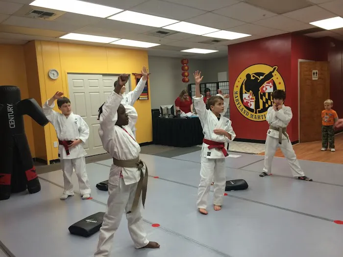 Maryland Martial Arts LLC Picture 1