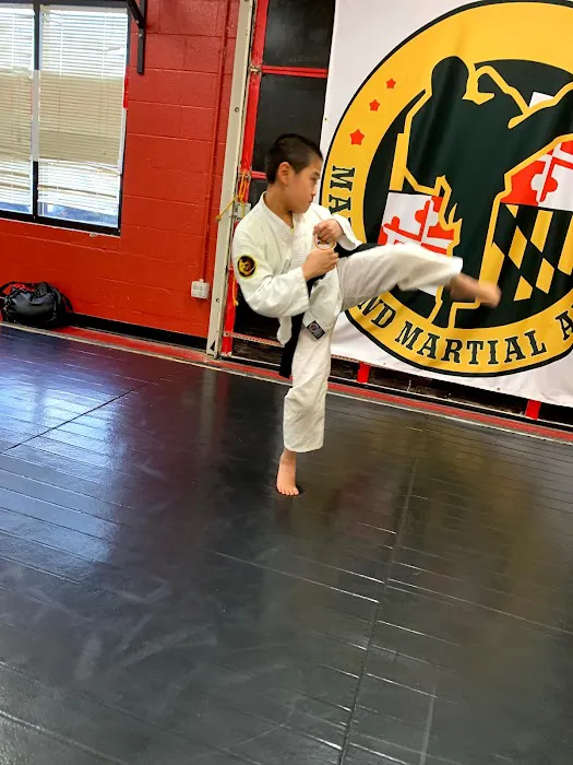 Maryland Martial Arts LLC Picture 7